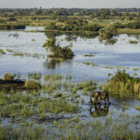 Botswana – Okavanga Delta 2