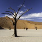 Namibie-Sossusvlei-deadvlei