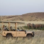 Namibie-olifant-gamedrive