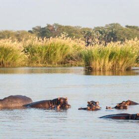 Malawi-2