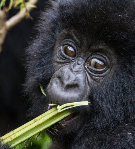 Rwanda
