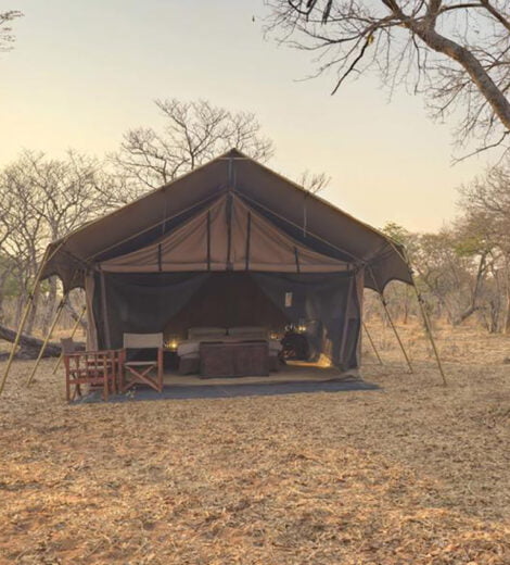 andBeyond Chobe Under Canvas